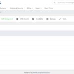 dns_manager_for_whmcs_6